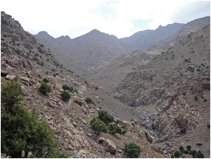 478 Jebel Toubkal